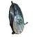 Headlight right from '08 H4 including MOTOR 3333962 Van Wezel, Thumbnail 2