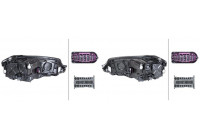 Headlight Set SET_1EX 013 924-691 Hella