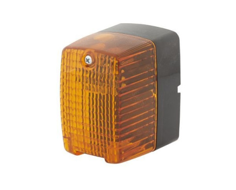 Auxiliary Indicator 2BM 002 652-051 Hella, Image 3