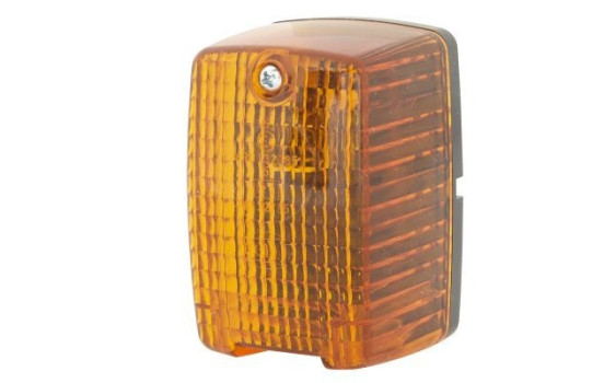 Auxiliary Indicator 2BM 002 652-081 Hella