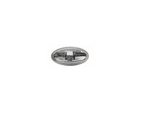 Indicator Light left/right 3118447601003 Origineel, Image 2