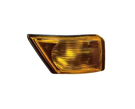 Indicator Light right orange incl. lamp holder 2813902 Origineel