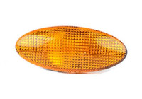 Indicator Light