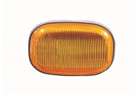 Indicator