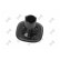 Indicator, Thumbnail 3