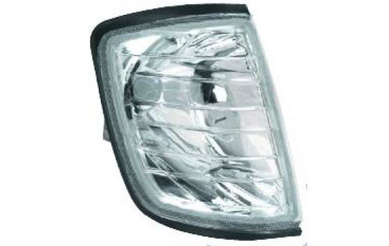 Set of turn signals 1612077 Diederichs