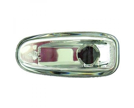 Set of turn signals 1670278 Diederichs