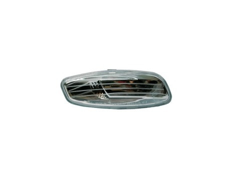 Side indicator for right outside mirror from 10/2010- 4029916 Van Wezel