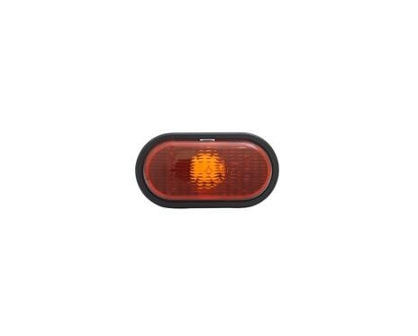 Side indicator left/right ORANGE + GASKET (HOLDER) 4310914 Van Wezel, Image 2