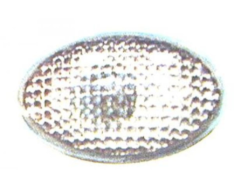 Turn signal 1812077 Diederichs