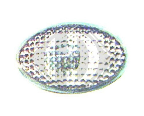 Turn signal 1812077 Diederichs, Image 2