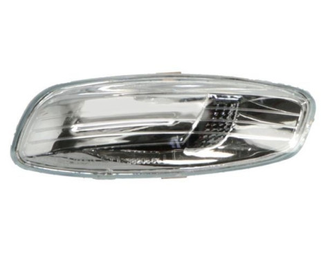 turn signal