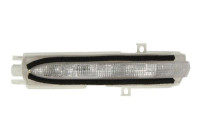 Turn signal
