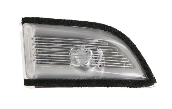 Turn signal