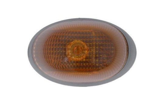 Turn signal