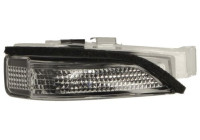 Turn signal