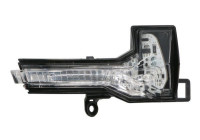 Turn signal