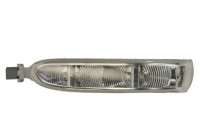 Turn signal