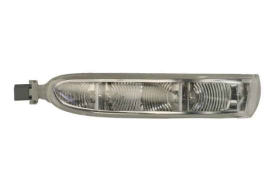 Turn signal