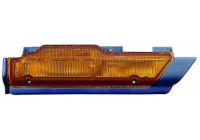 Turn signal