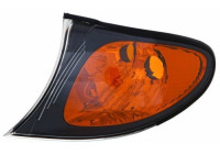 Turn signal