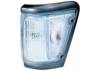 Turn signal