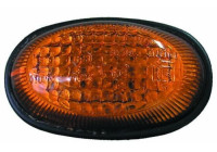 Turn signal