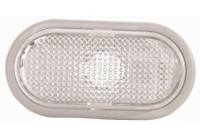 Turn signal