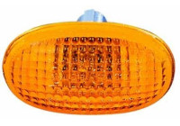 Turn signal
