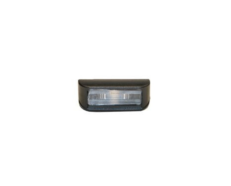 Licence Plate Light 0943920 Van Wezel