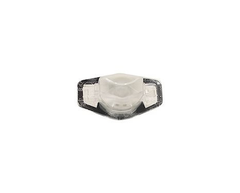 Licence Plate Light 2587920 Van Wezel