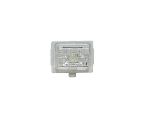 Licence Plate Light 3097920 Van Wezel