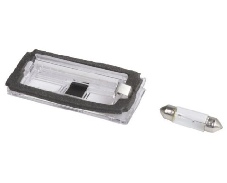 License plate lamp