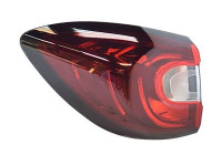 Combination Rearlight 4384921 Van Wezel