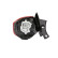 Combination Rearlight LLH421 Magneti Marelli, Thumbnail 2