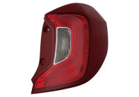 Combination Tail Light 8325922 Van Wezel