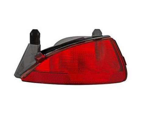 Rear fog lamp 4446095 Diederichs