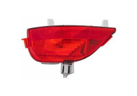 Rear fog lamp 4456197 Diederichs