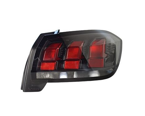REAR LIGHT GLASS RIGHT 4043932 Van Wezel