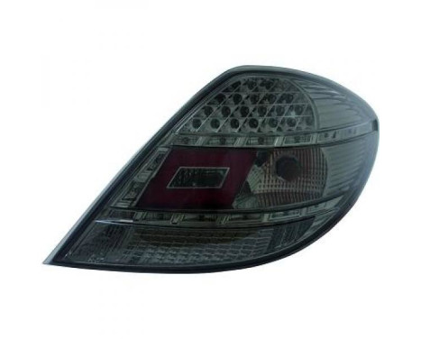 Set of taillights 1636998 Diederichs