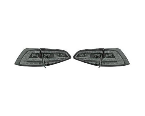 Set of taillights 2216999 Diederichs
