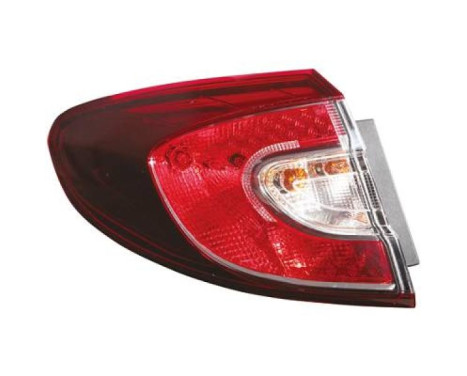 Tail light 4465690 Diederichs
