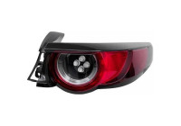 Tail light 5621090 Diederichs