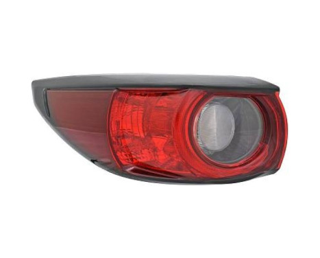 Tail light 5631096 Diederichs