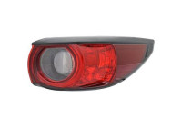 Tail light 5631097 Diederichs