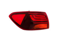 Tail light 6587191 Diederichs