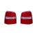 Taillight set