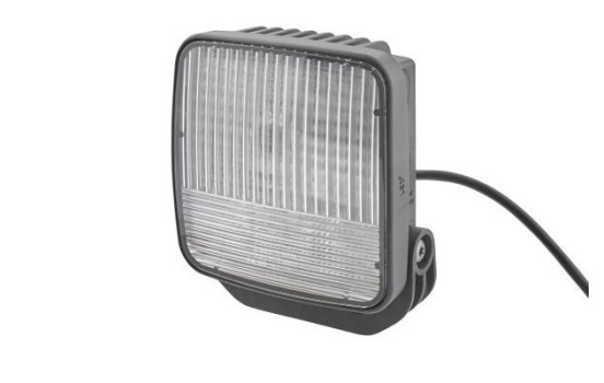 Reverse Light