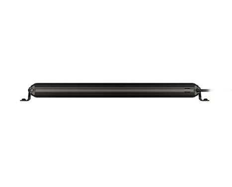 Spotlight, Image 3