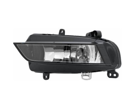 Fog lamp 1080289 Diederichs